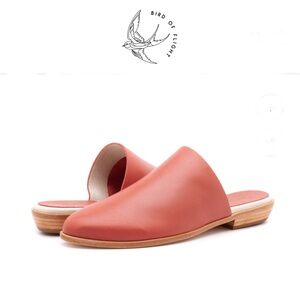 Bird of Flight by Anthropologie Finnola terracotta Mules size 6